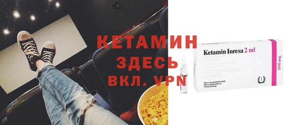 стаф Аркадак