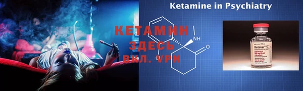стаф Аркадак