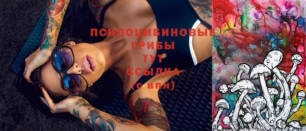 стаф Аркадак