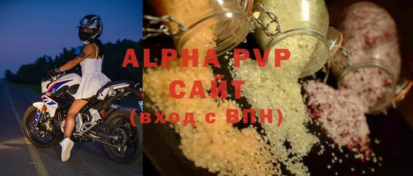 стаф Аркадак