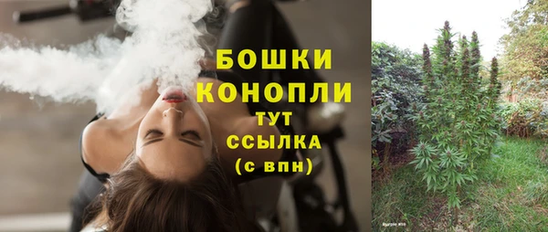 стаф Аркадак