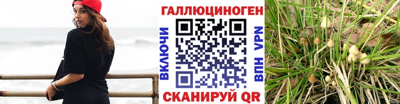 гидра tor  Белая Холуница  дарк нет официальный сайт  Псилоцибиновые грибы Magic Shrooms 